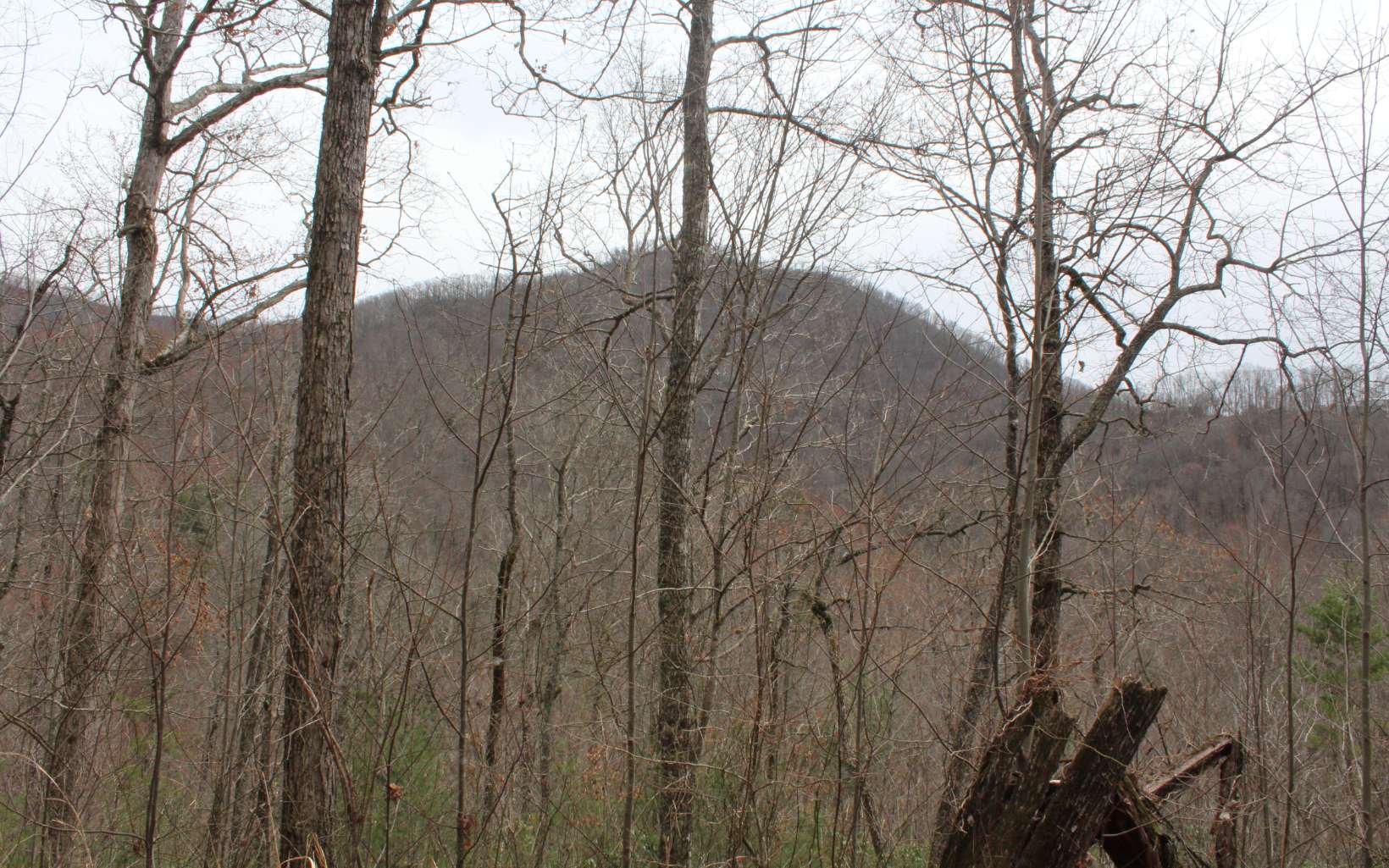 21 North N Ridge Hayesville, NC 28904 - Photo 30 of 51 Additional View