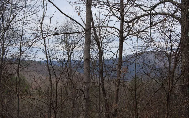 $10,000 | 21 North N Ridge, Hayesville, NC 28904