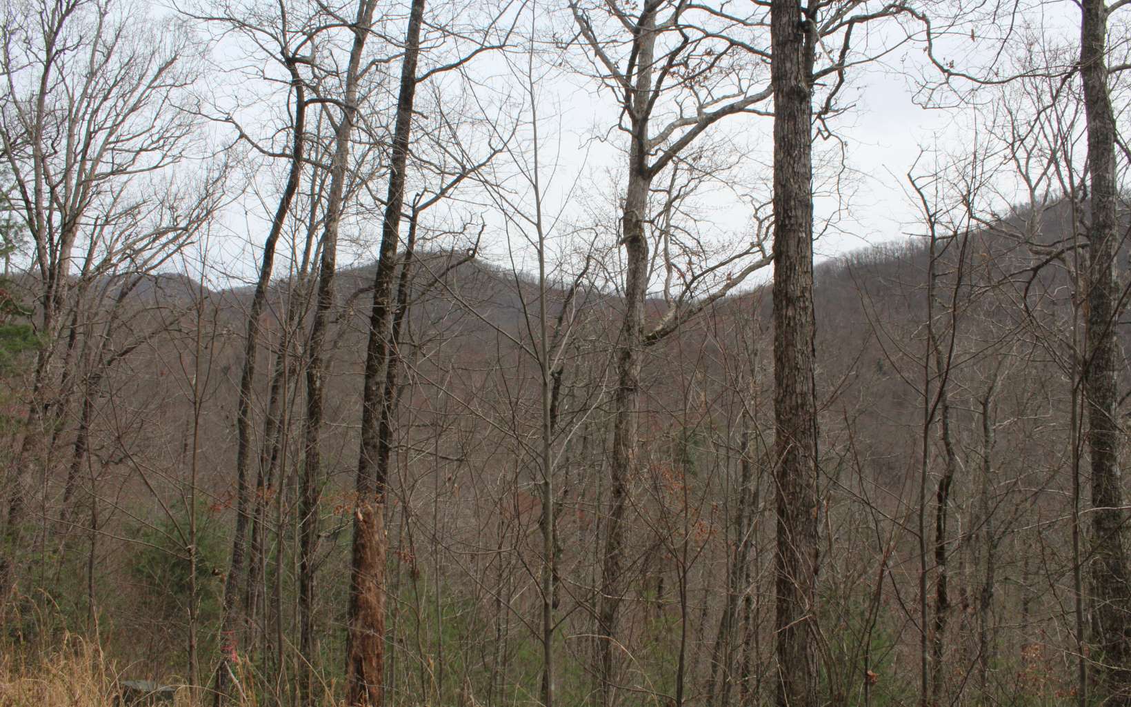 21 North N Ridge Hayesville, NC 28904 - Photo 31 of 51 Additional View