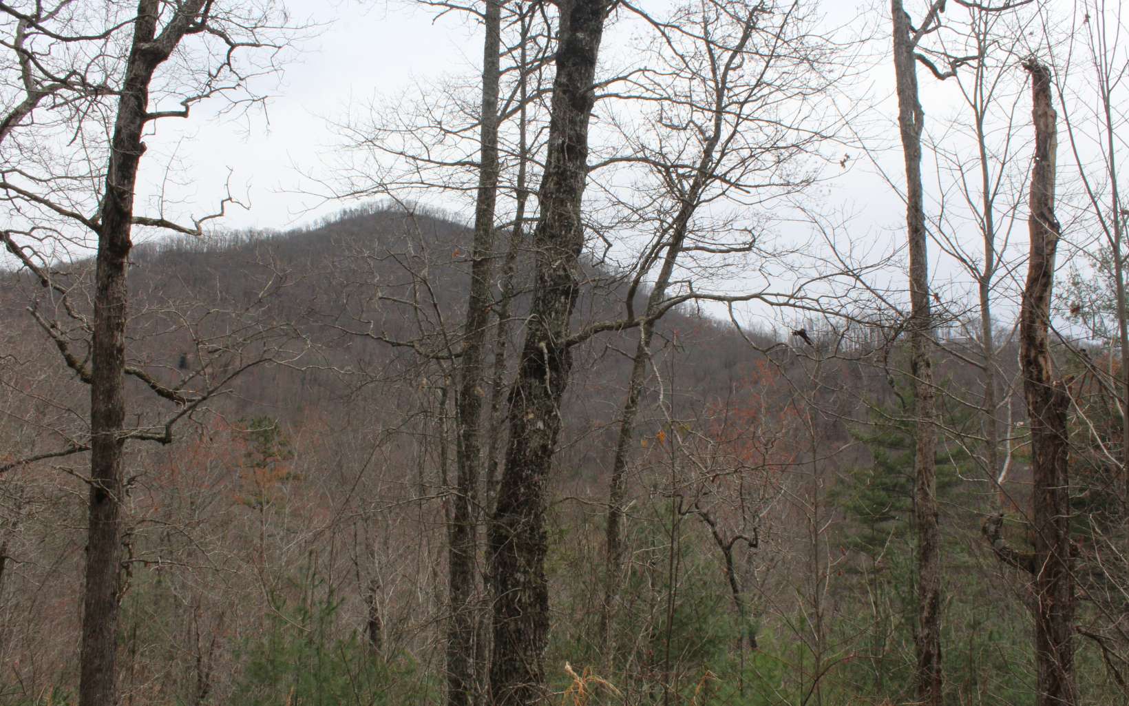 21 North N Ridge Hayesville, NC 28904 - Photo 32 of 51 Additional View