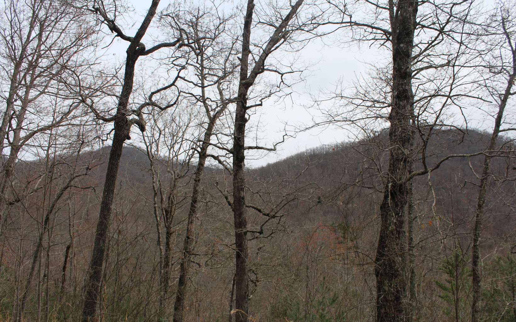 21 North N Ridge Hayesville, NC 28904 - Photo 33 of 51 Additional View