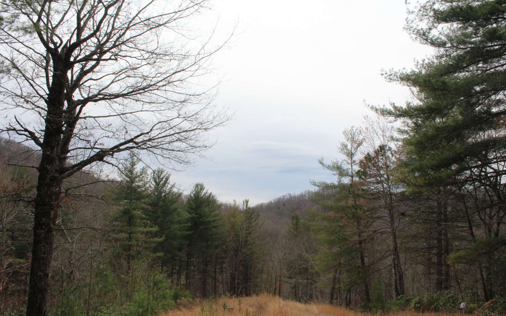 21 North N Ridge Hayesville, NC 28904 - Photo 35 of 51 Additional View