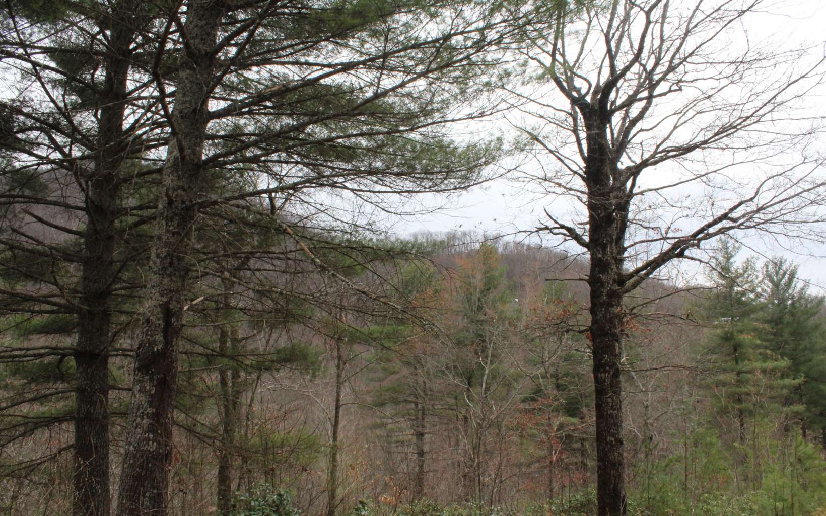 21 North N Ridge Hayesville, NC 28904 - Photo 37 of 51 Additional View