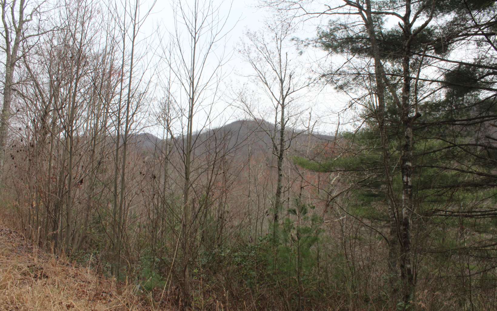 21 North N Ridge Hayesville, NC 28904 - Photo 38 of 51 Additional View