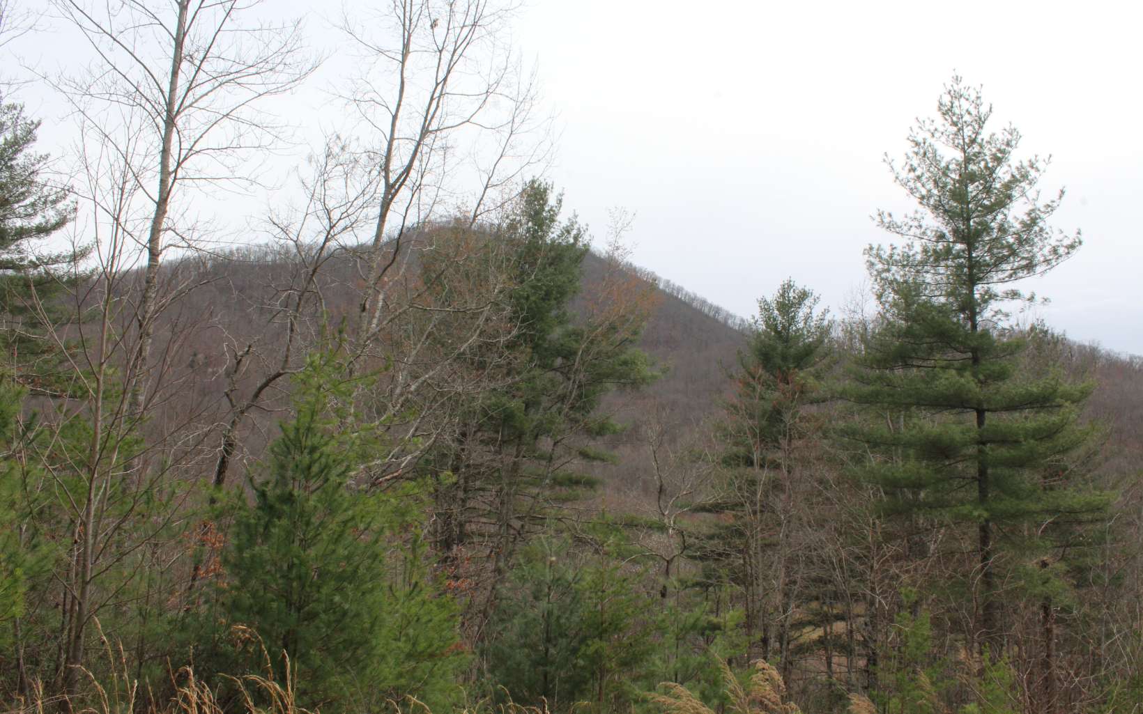 21 North N Ridge Hayesville, NC 28904 - Photo 40 of 51 Additional View