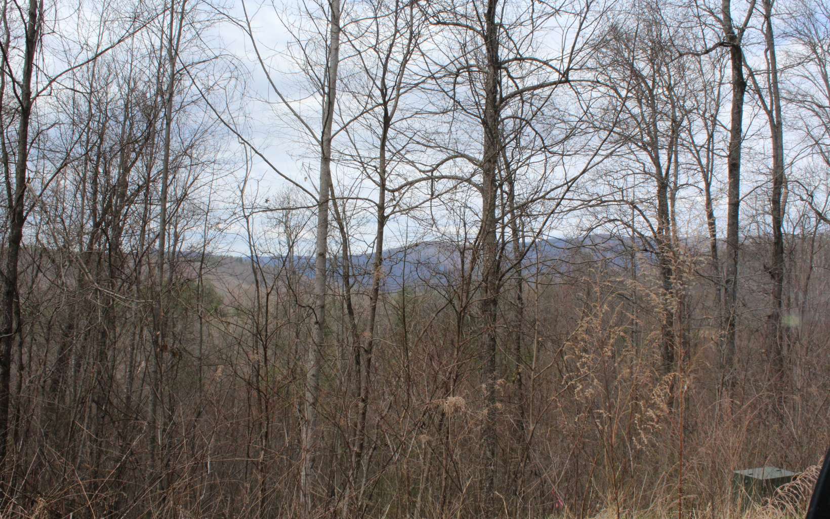 21 North N Ridge Hayesville, NC 28904 - Photo 4 of 51 Additional View