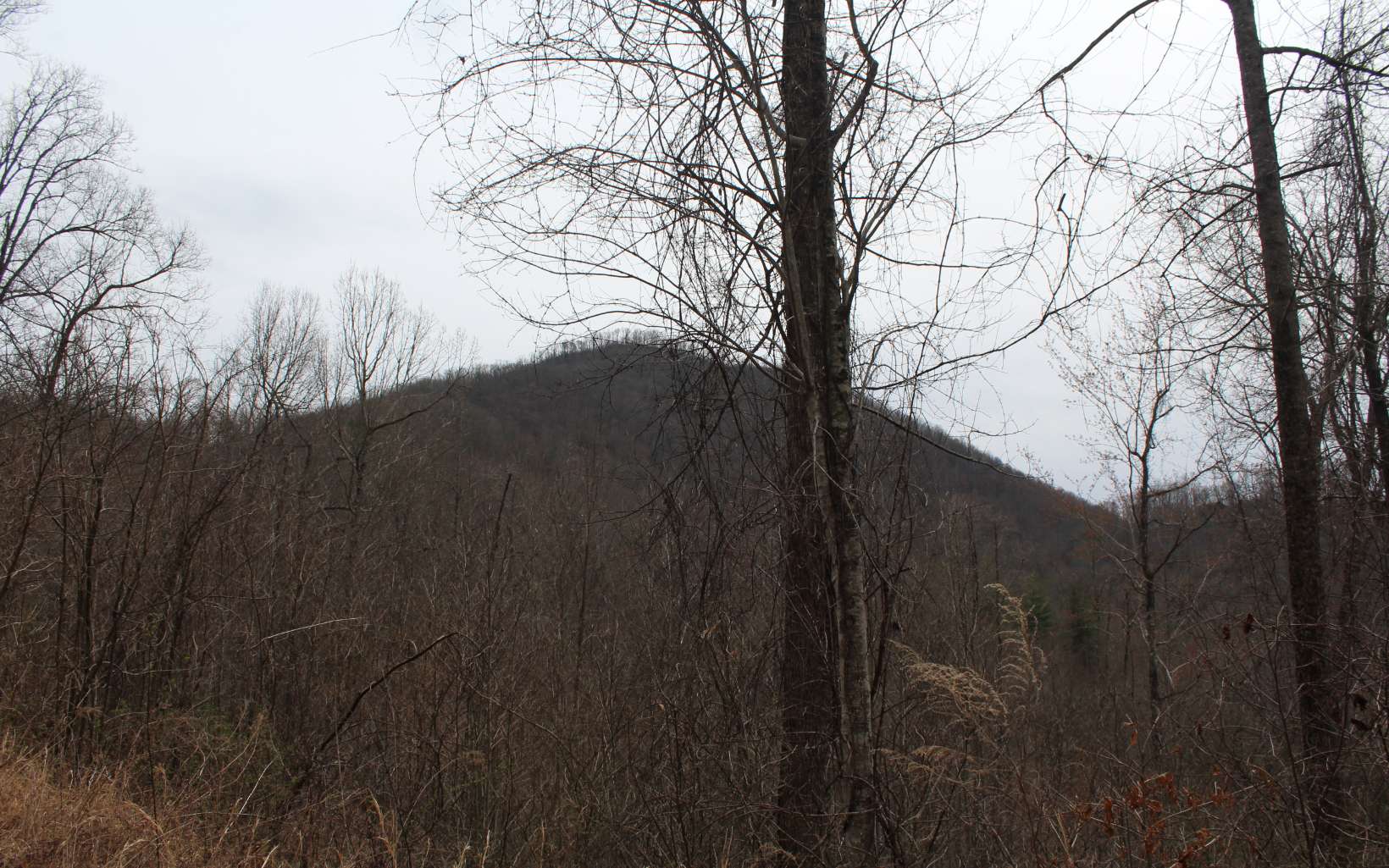 21 North N Ridge Hayesville, NC 28904 - Photo 41 of 51 Additional View