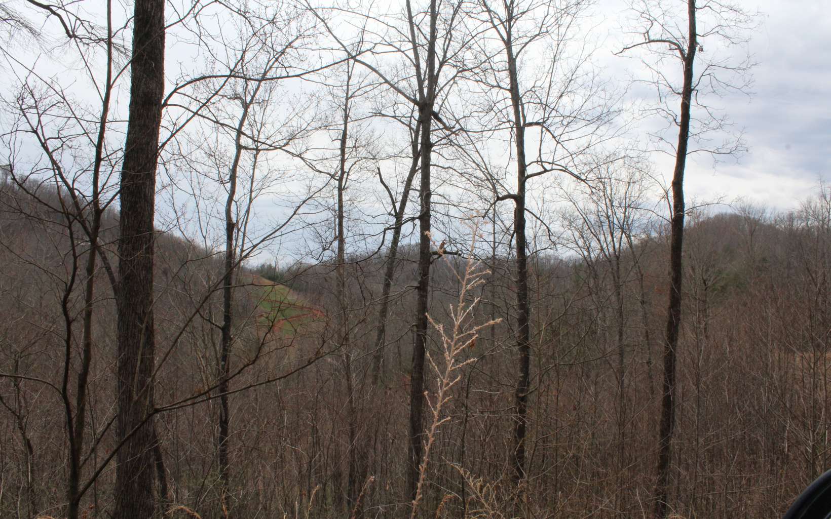 21 North N Ridge Hayesville, NC 28904 - Photo 42 of 51 Additional View