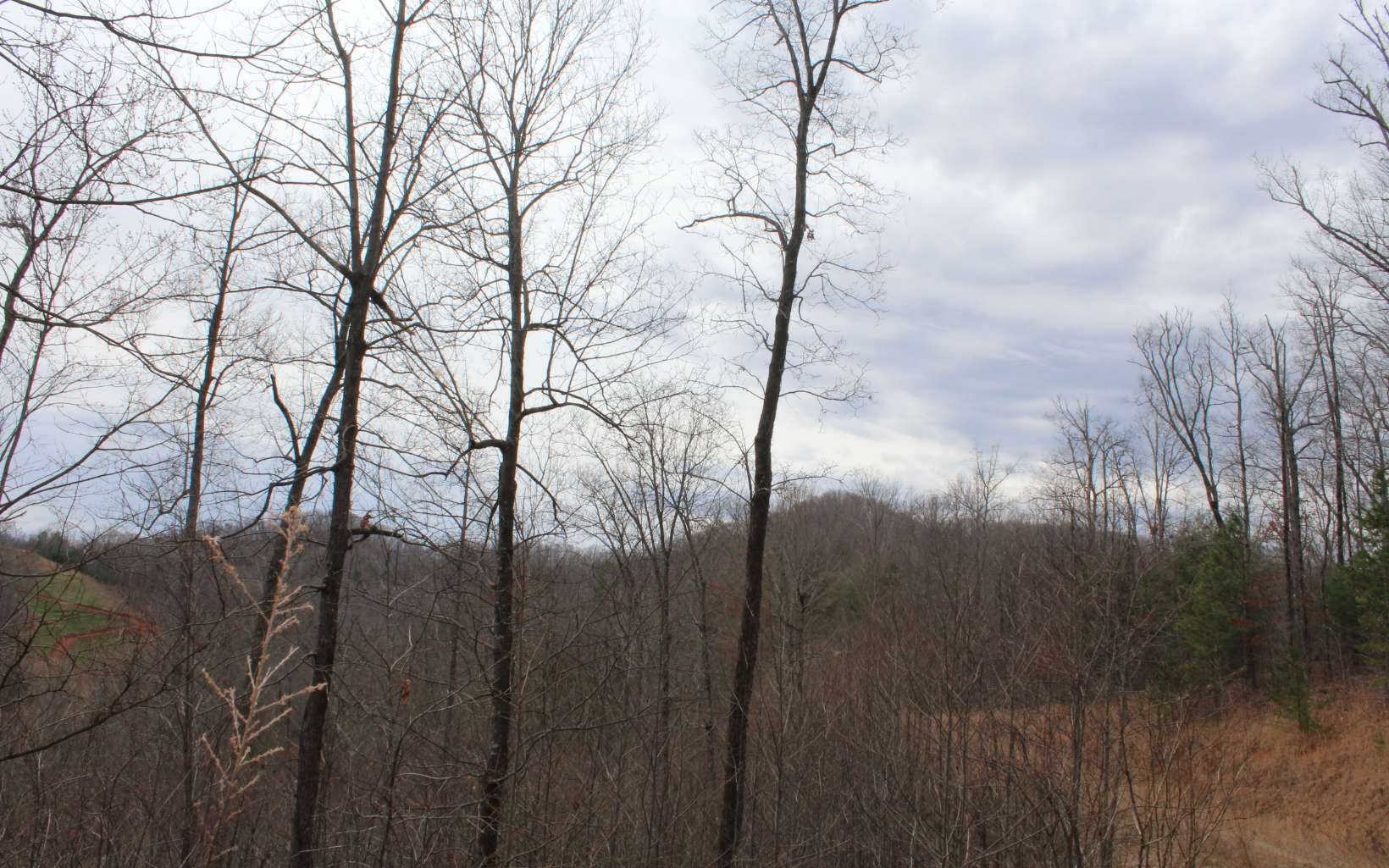 21 North N Ridge Hayesville, NC 28904 - Photo 43 of 51 Additional View