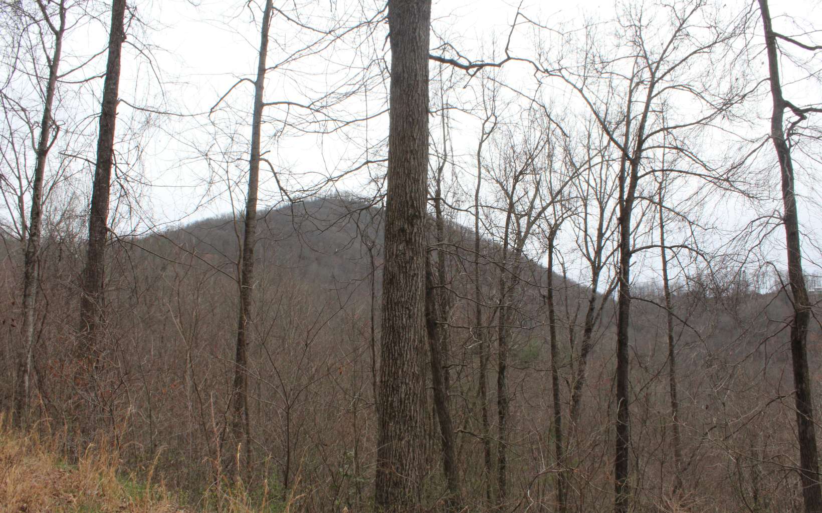 21 North N Ridge Hayesville, NC 28904 - Photo 44 of 51 Additional View