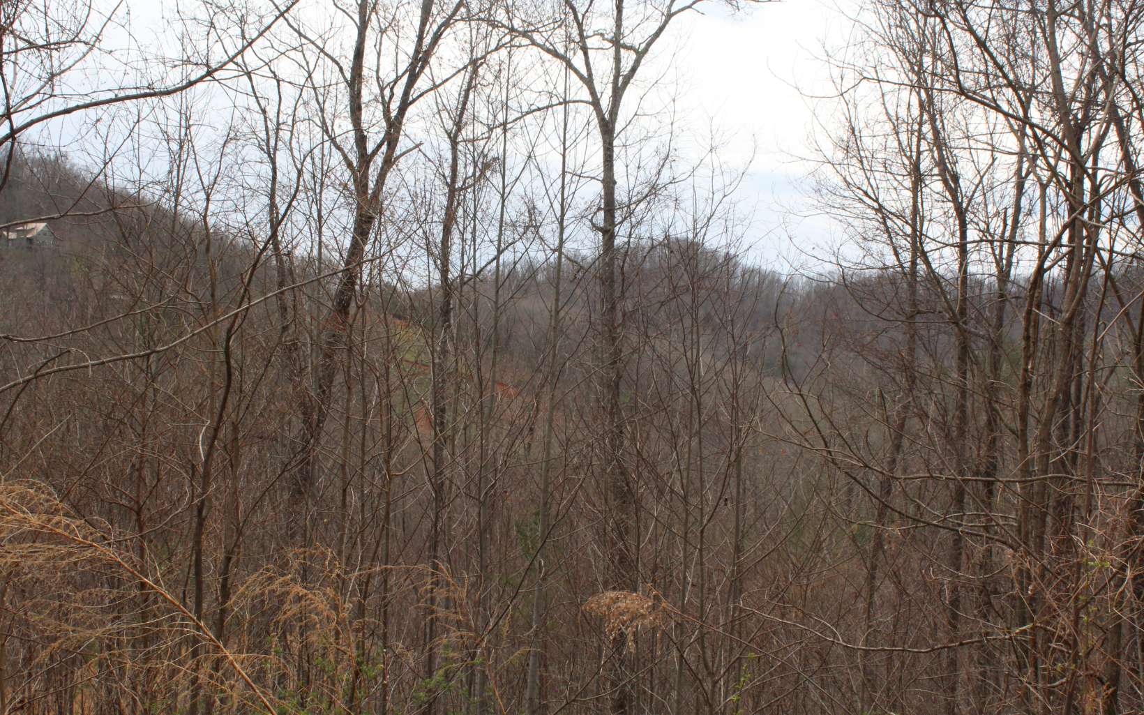 21 North N Ridge Hayesville, NC 28904 - Photo 45 of 51 Additional View