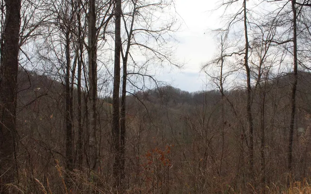 $10,000 | 21 North N Ridge, Hayesville, NC 28904