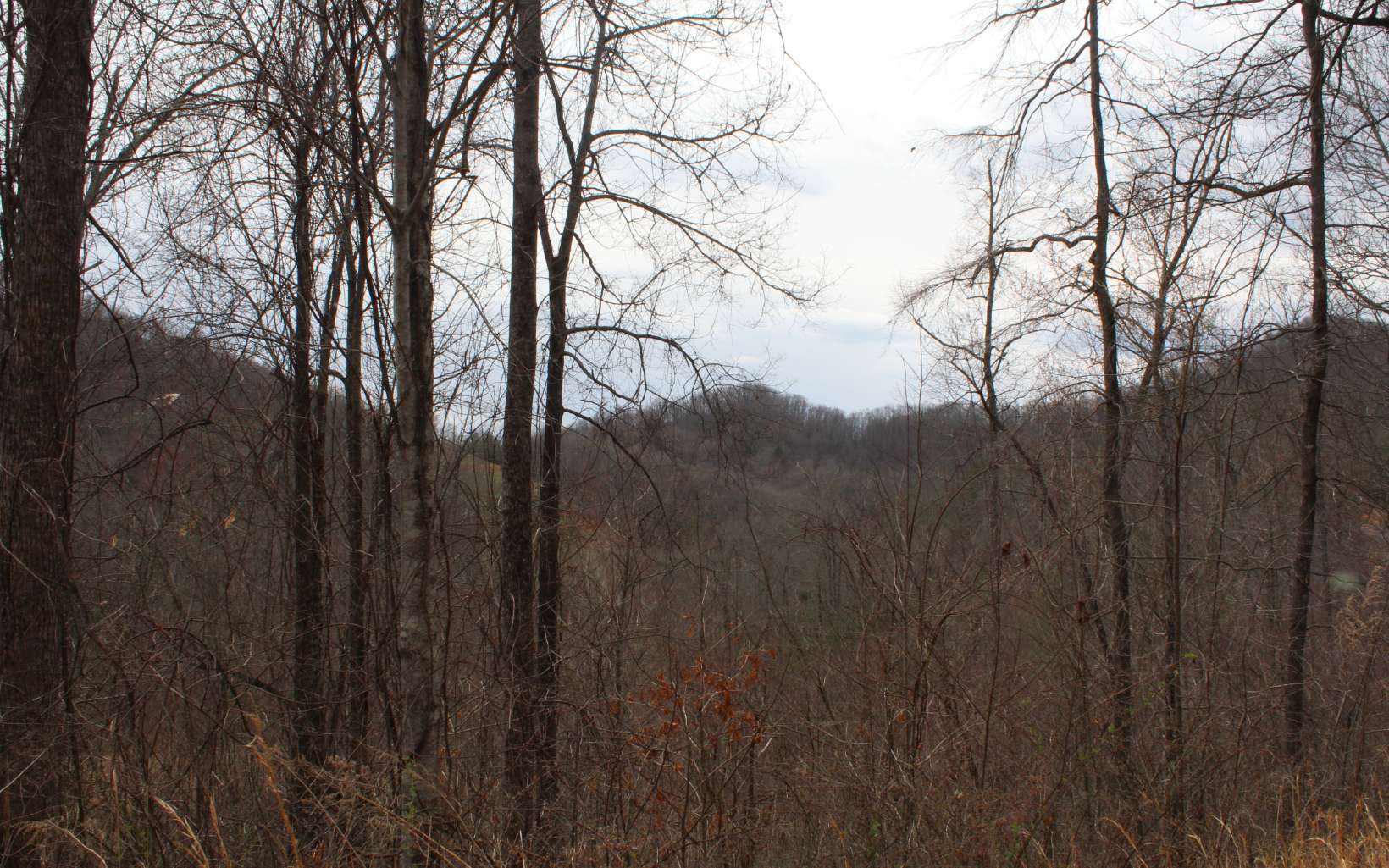 21 North N Ridge Hayesville, NC 28904 - Photo 46 of 51 Additional View