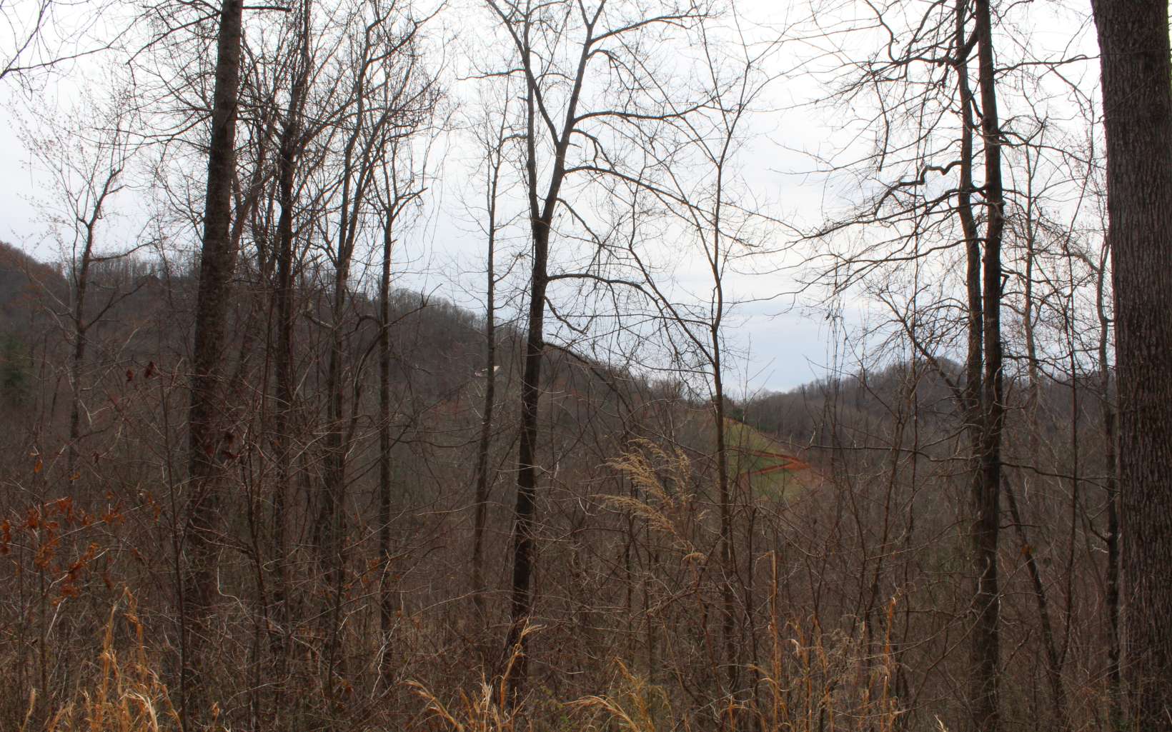 21 North N Ridge Hayesville, NC 28904 - Photo 47 of 51 Additional View