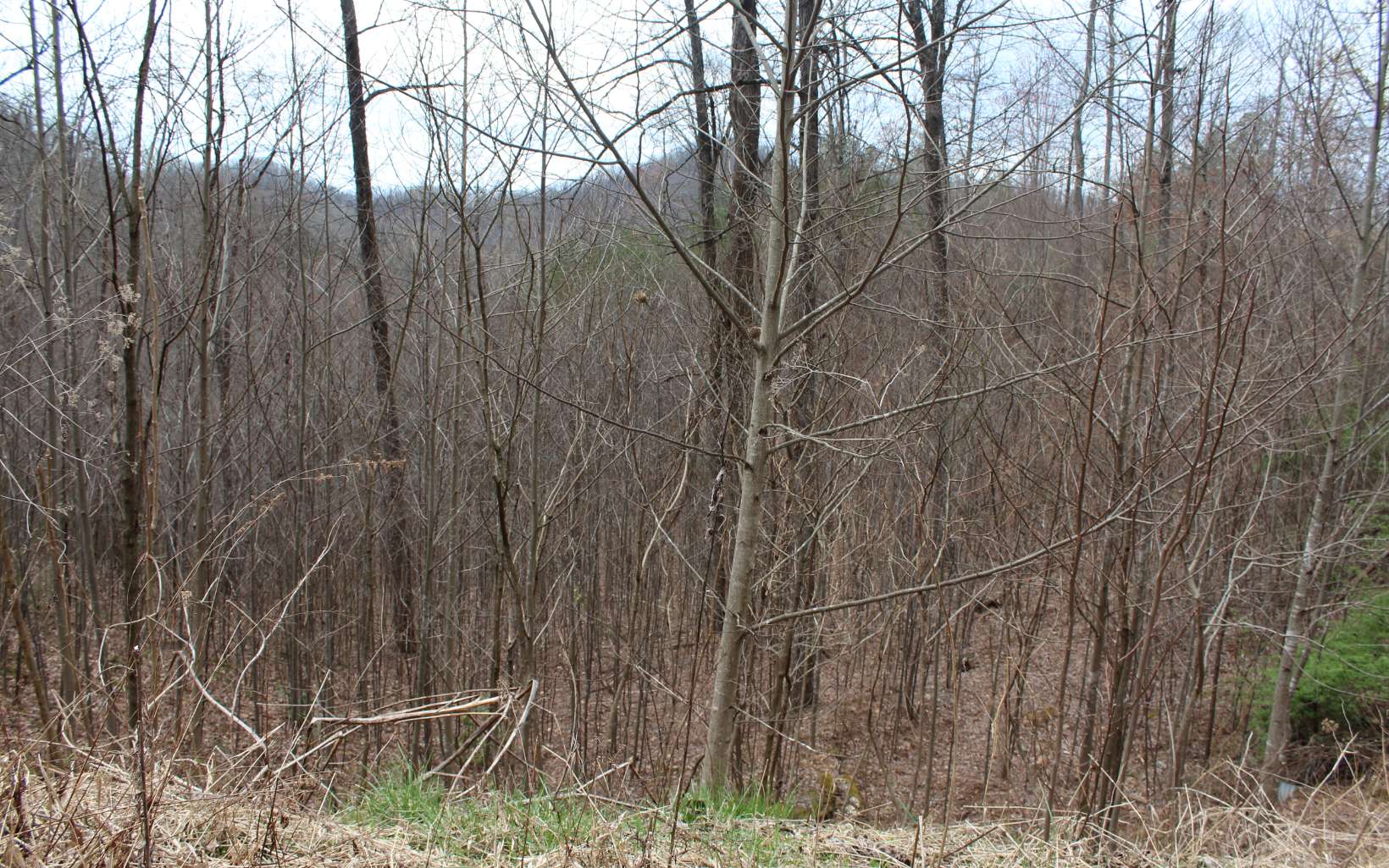 21 North N Ridge Hayesville, NC 28904 - Photo 48 of 51 Additional View