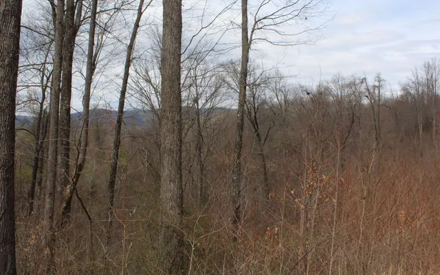 $10,000 | 21 North N Ridge, Hayesville, NC 28904