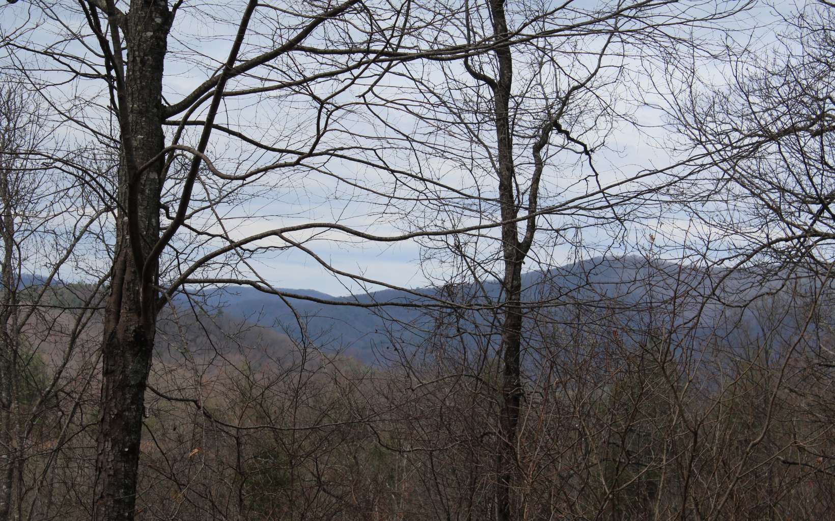 21 North N Ridge Hayesville, NC 28904 - Photo 5 of 51 Additional View