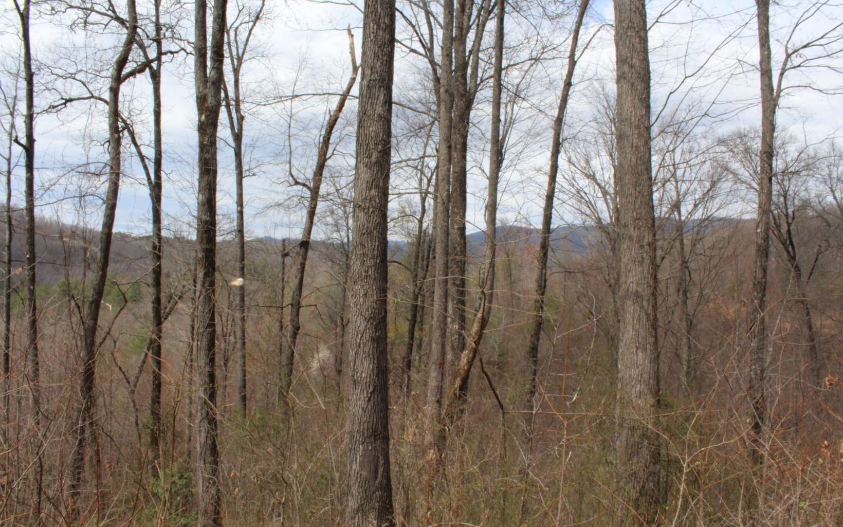 21 North N Ridge Hayesville, NC 28904 - Photo 51 of 51 Additional View