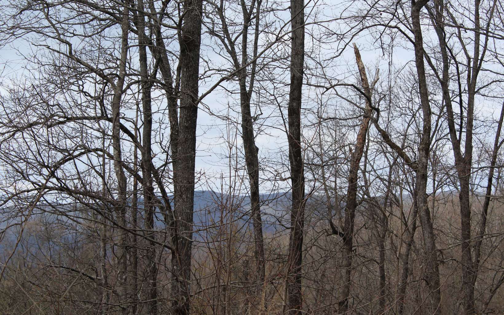 21 North N Ridge Hayesville, NC 28904 - Photo 6 of 51 Additional View