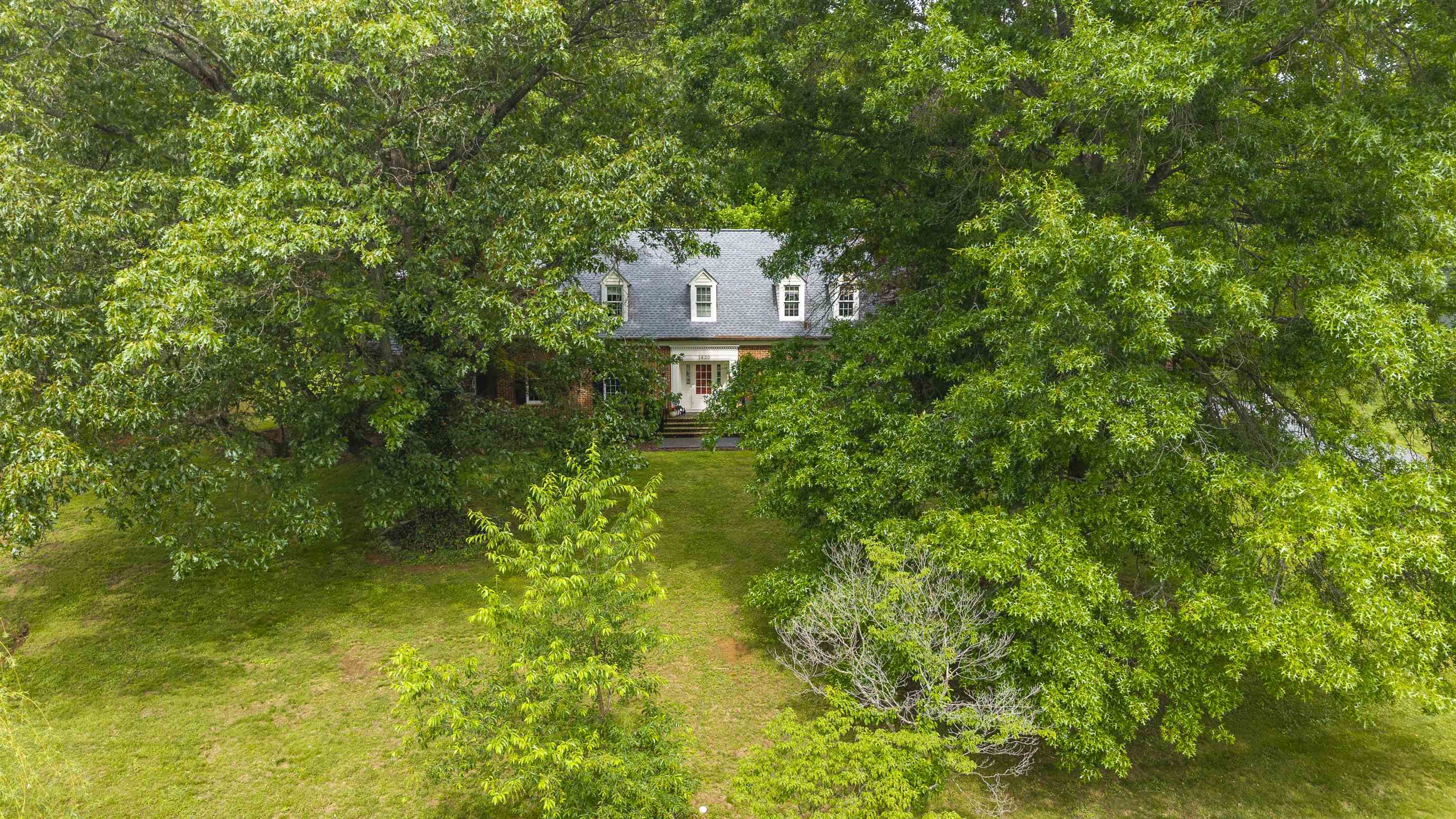 1430 Dogwood Road Staunton, VA 24401 - Photo 66 of 68 a picture of a tree