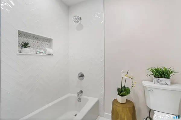 a bath room with a bath tub and a potted plant