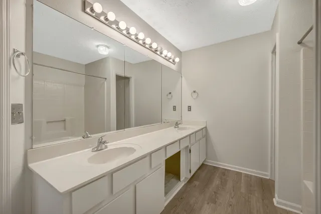 a bathroom with a tub shower vanity and a sink