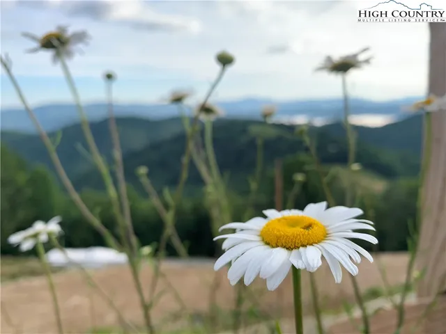 $2,500,000 | 132 Sun Peaks Trail, Beech Mountain, NC 28604