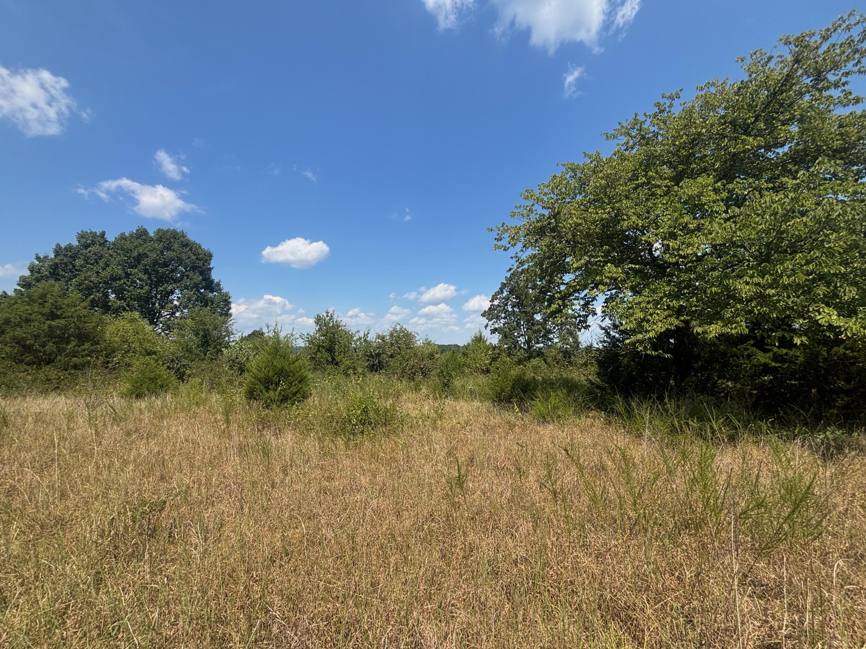 3 Little Woods Road Elizabeth, AR 72531 - Photo 10 of 24 3 3