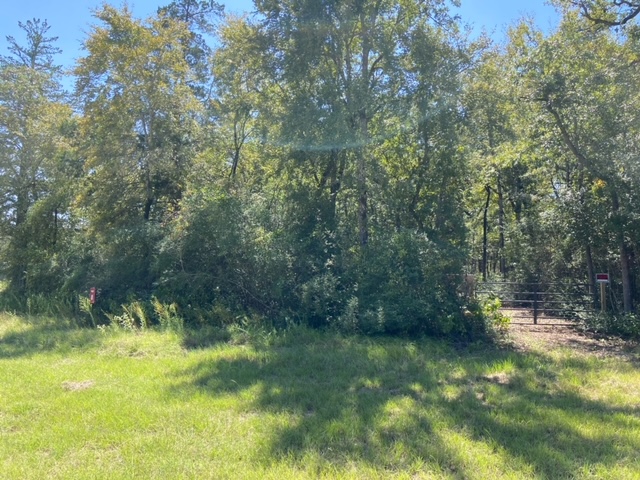 Unk Unk Sawmill Road Franklin, TX 77856 - Photo 13 of 16