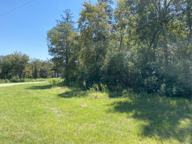 Unk Unk Sawmill Road Franklin, TX 77856 - Photo 14 of 16