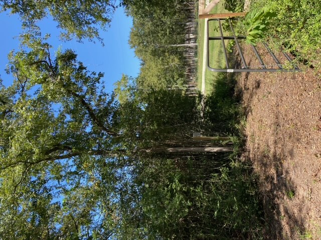 Unk Unk Sawmill Road Franklin, TX 77856 - Photo 2 of 16