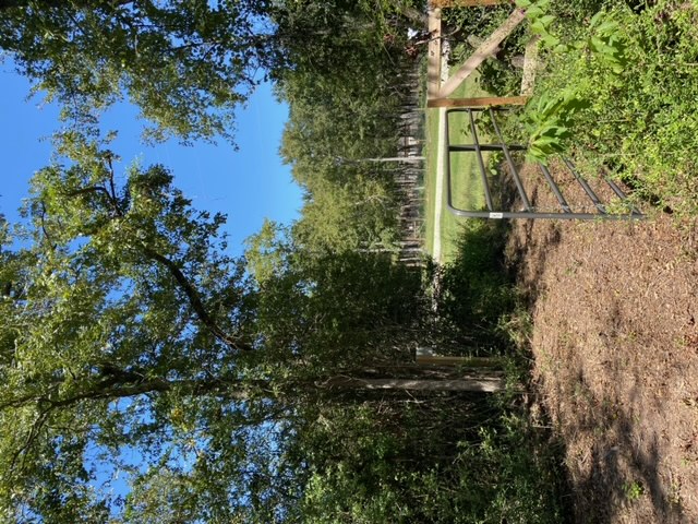 Unk Unk Sawmill Road Franklin, TX 77856 - Photo 3 of 16