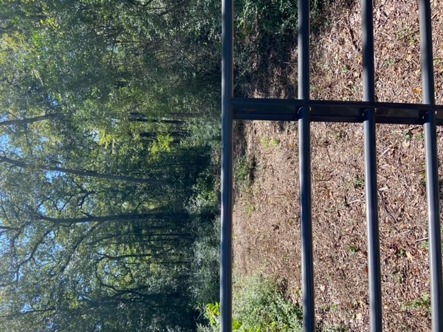 Unk Unk Sawmill Road Franklin, TX 77856 - Photo 10 of 16