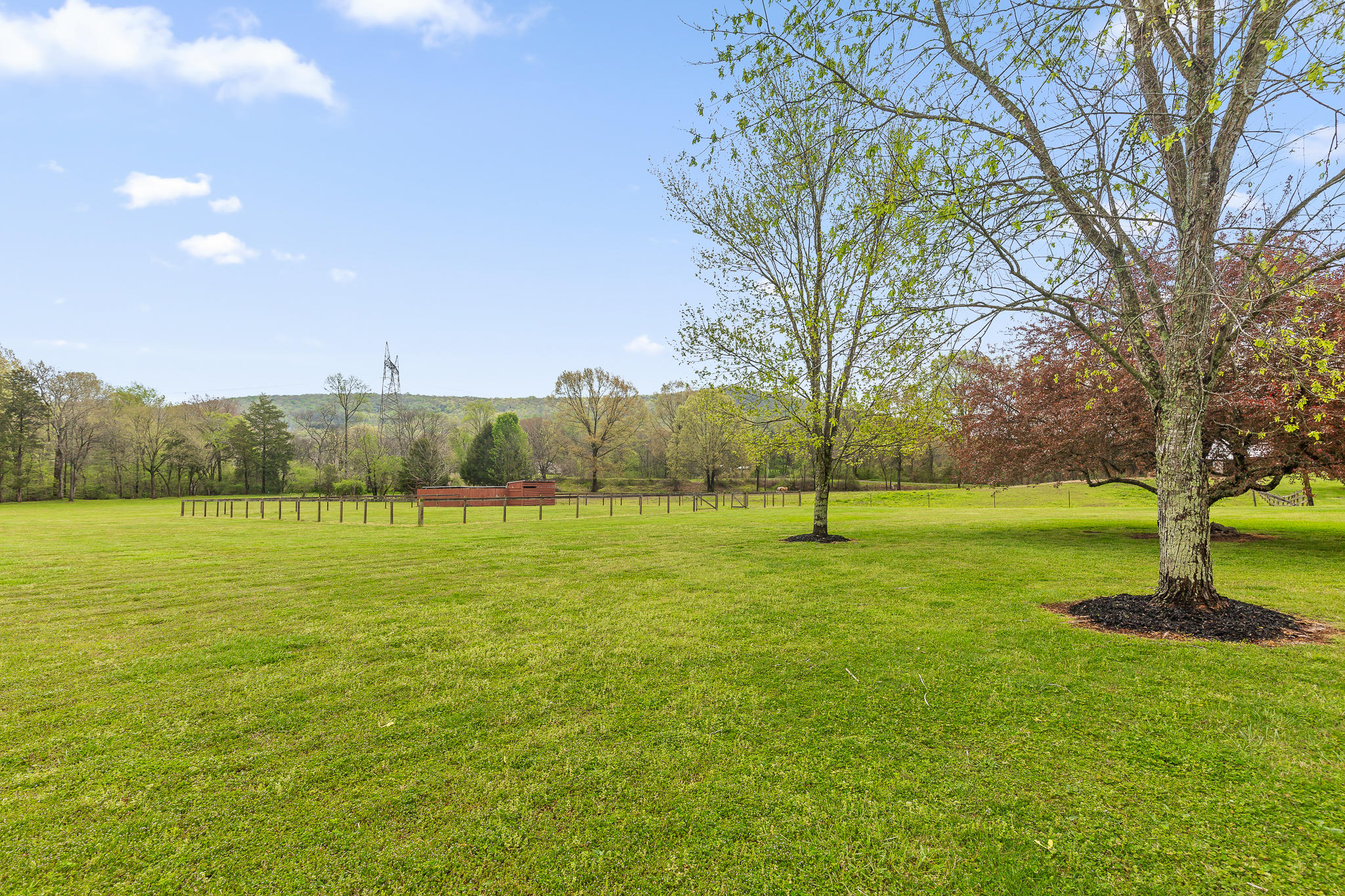 180 Taylor Estates Road Jasper, TN 37347 - Photo 10 of 44 Taylor-10
