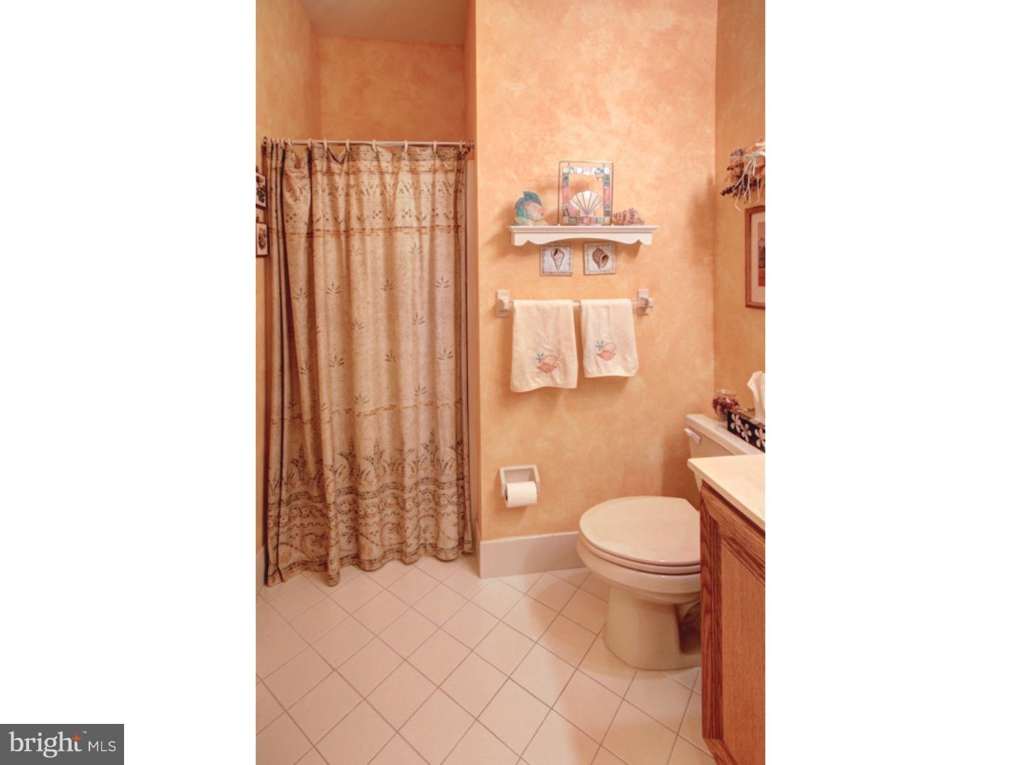 431 Ruth Court Harleysville, PA 19438 - Photo 20 of 21 Bathroom
