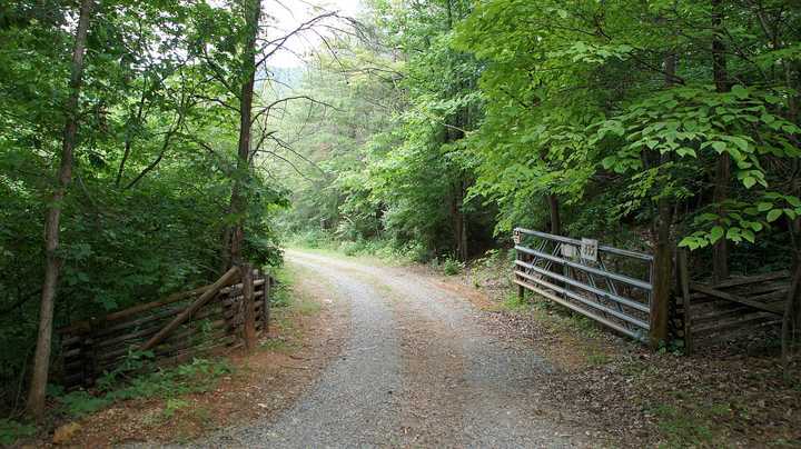 335 Barton Spur Road Ferrum, VA 24088 - Photo 12 of 18