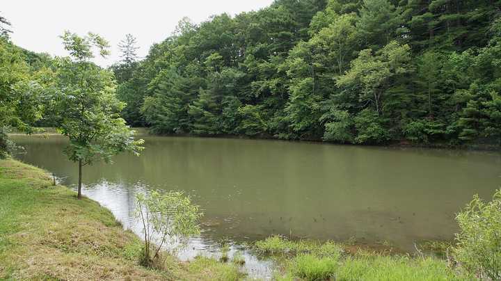 335 Barton Spur Road Ferrum, VA 24088 - Photo 13 of 18 a view of a lake view