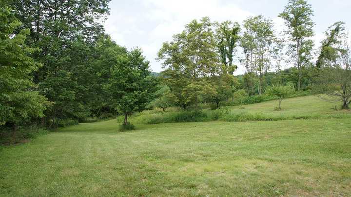 335 Barton Spur Road Ferrum, VA 24088 - Photo 16 of 18 a view of outdoor space with trees all around