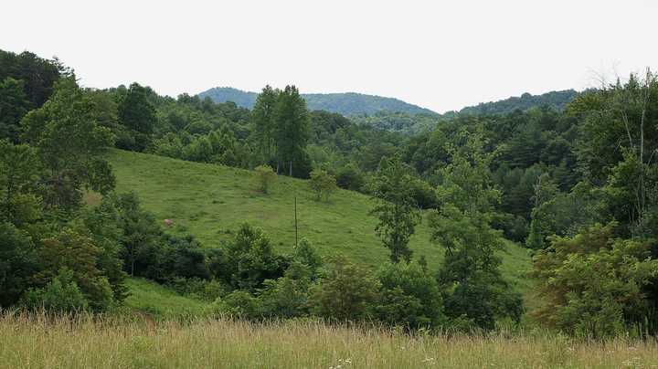 335 Barton Spur Road Ferrum, VA 24088 - Photo 18 of 18 a view of a lush green forest with a lake view