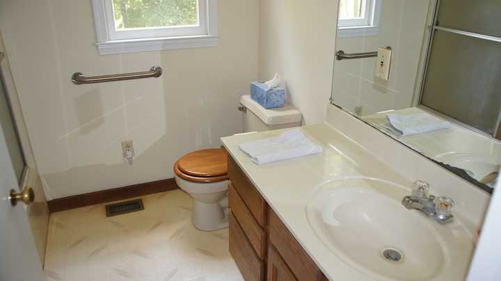 335 Barton Spur Road Ferrum, VA 24088 - Photo 8 of 18 a bathroom with a sink and a toilet