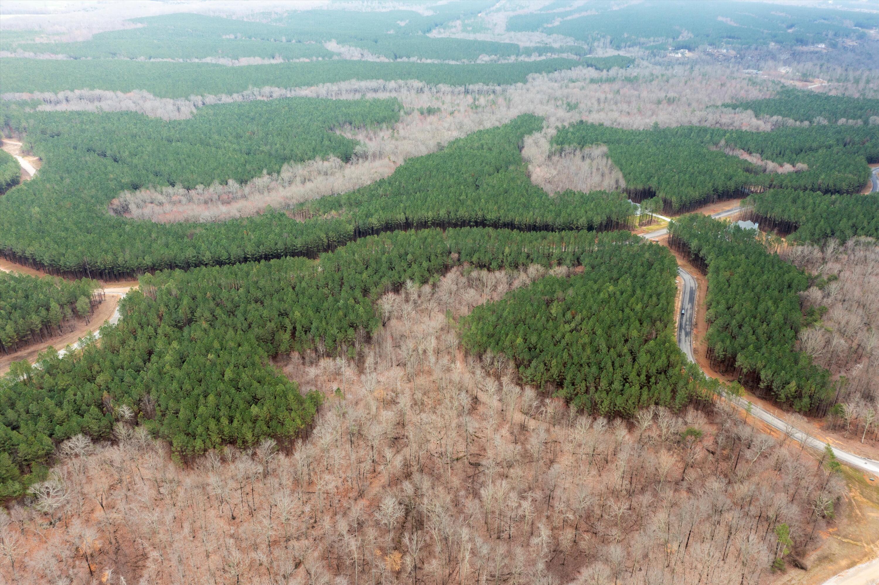 0 Moonlight Lane, Unit JF542 Jasper, TN 37347 - Photo 4 of 20 11-DJI_0570