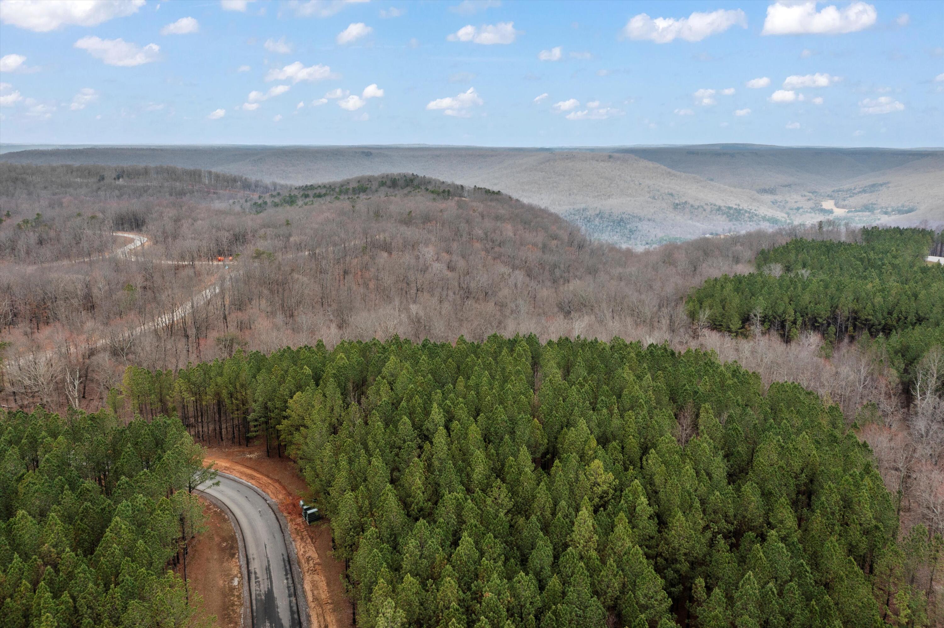 0 Moonlight Lane, Unit JF542 Jasper, TN 37347 - Photo 6 of 20 13-DJI_0582