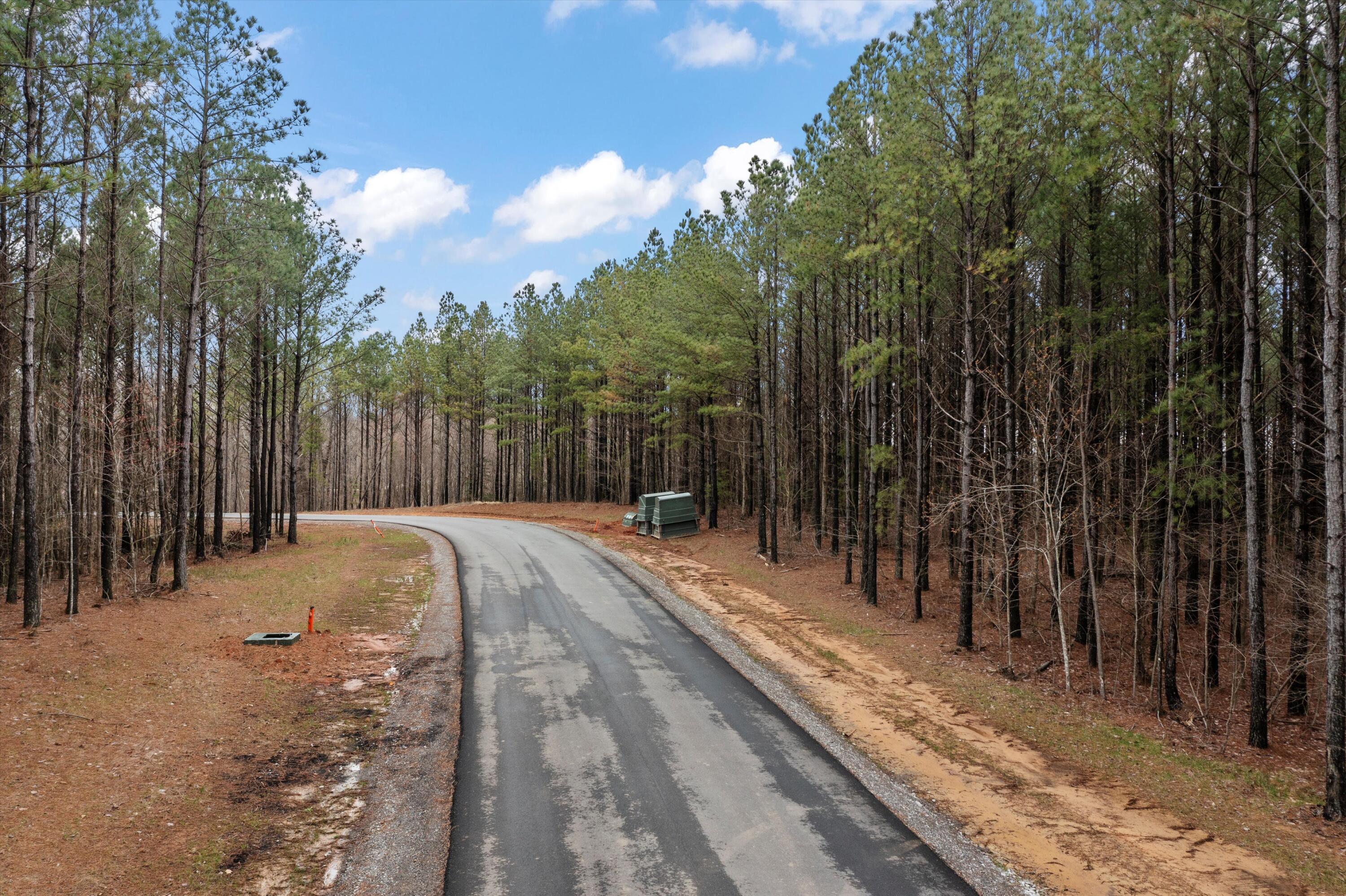 0 Moonlight Lane, Unit JF542 Jasper, TN 37347 - Photo 7 of 20 14-DJI_0587