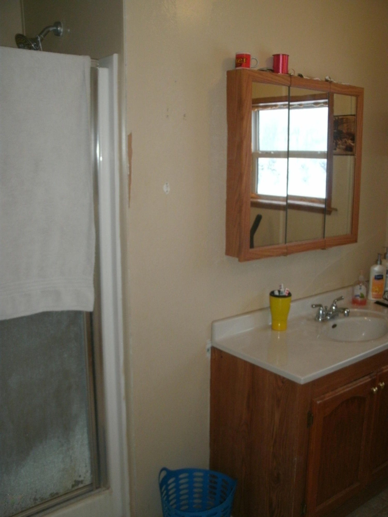 11516 North Wyman Road Blanchard, MI 49310 - Photo 11 of 15 GEDC1920
