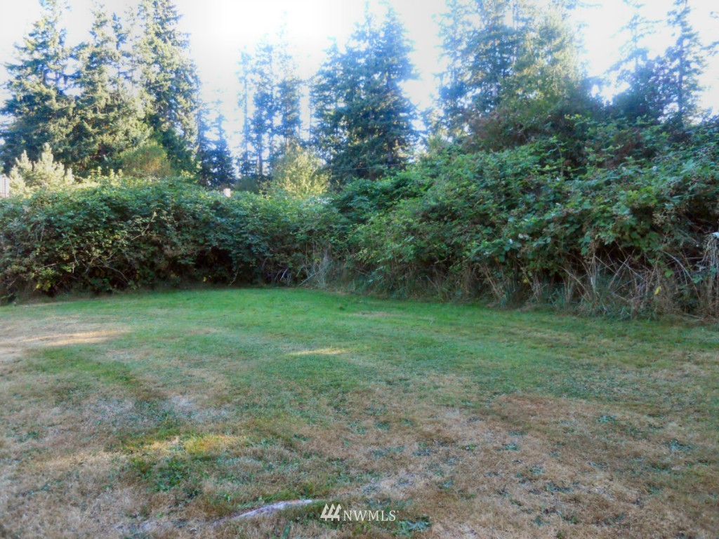 -xxxx Lancaster Road Freeland, WA 98249 - Photo 1 of 1 a view of a yard with a trees