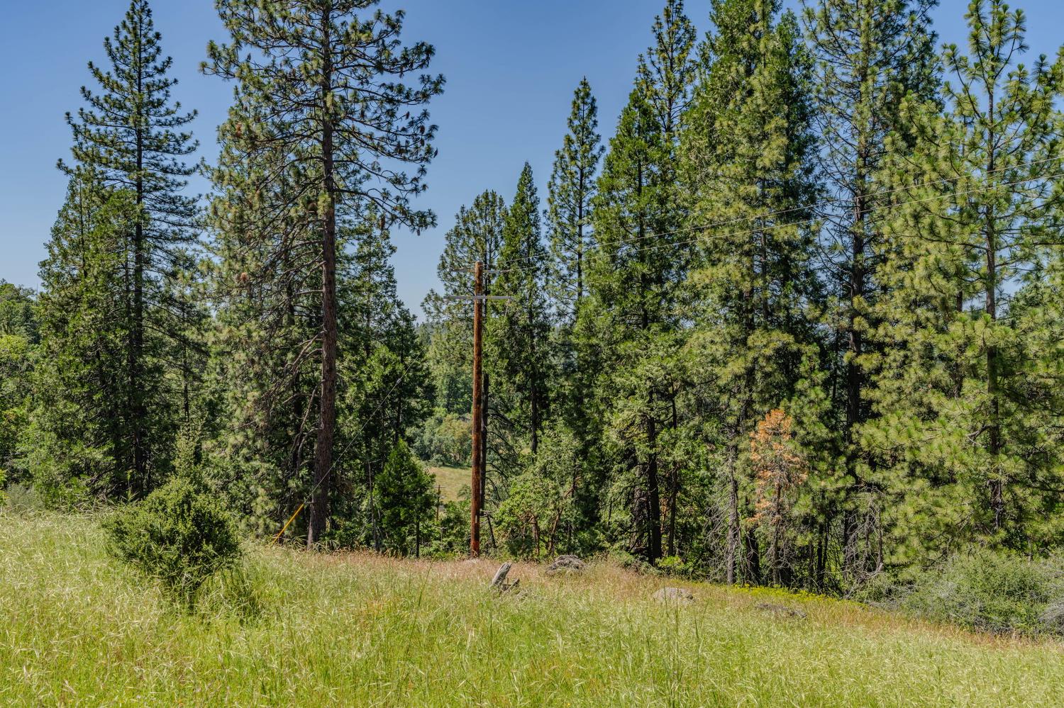 0 Schaefer Ranch Road Pioneer, CA 95666 - Photo 21 of 72