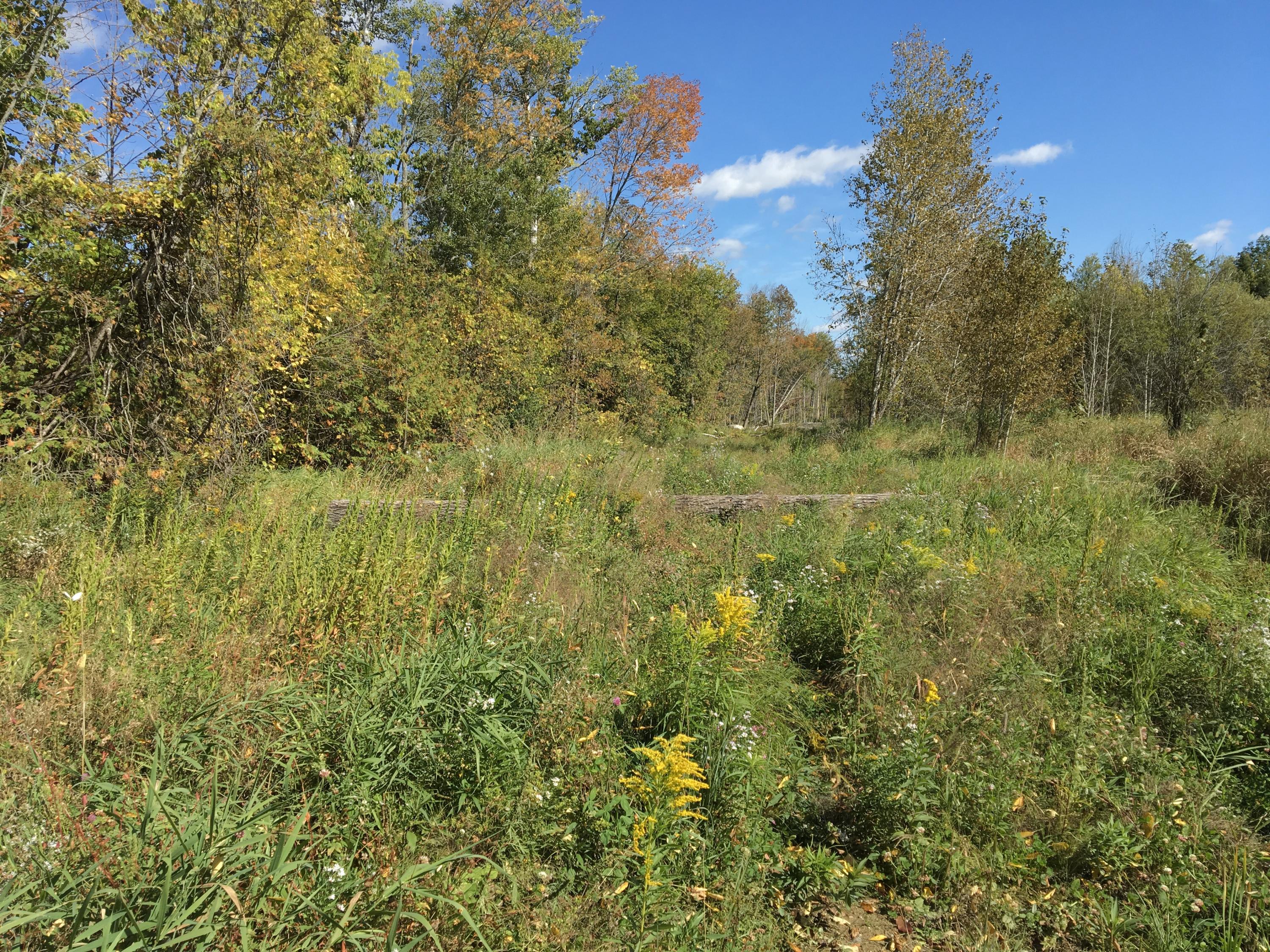 1 Beans Mill Road Corinth, ME 04427 - Photo 2 of 6 Photo Sep 27, 1 01 17 PM