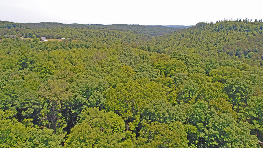 1558 Sandy Gap Road Somerset, KY 42501 - Photo 57 of 67 DJI_0187