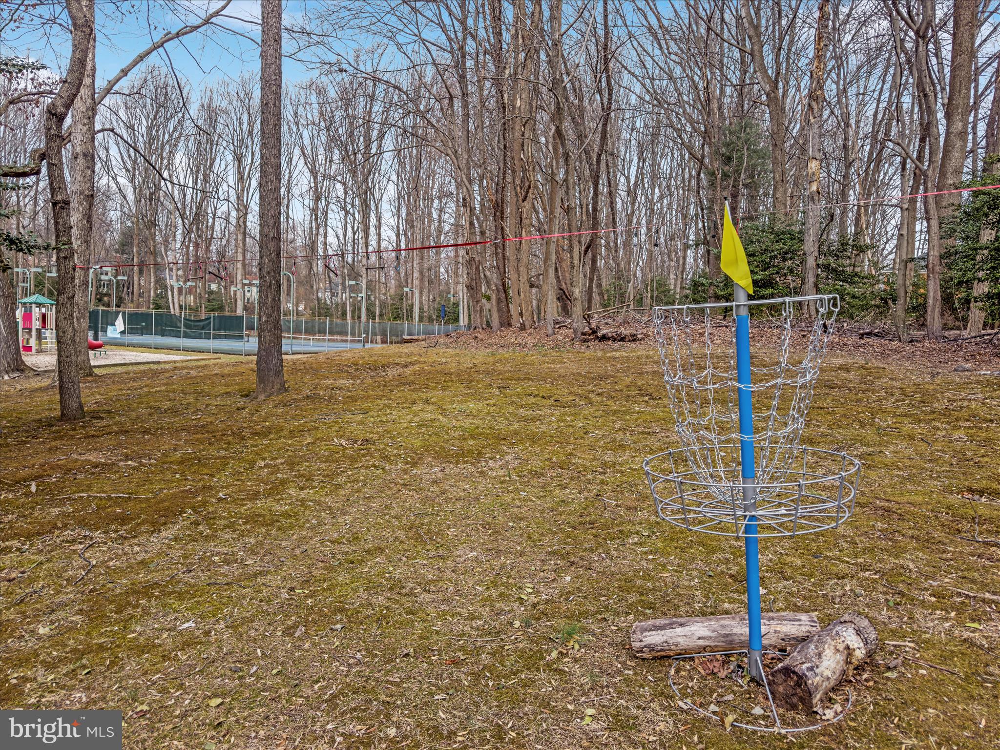 11922 Blue Spruce Road Reston, VA 20191 - Photo 52 of 65 Fox Mill Woods Swim & Tennis Club