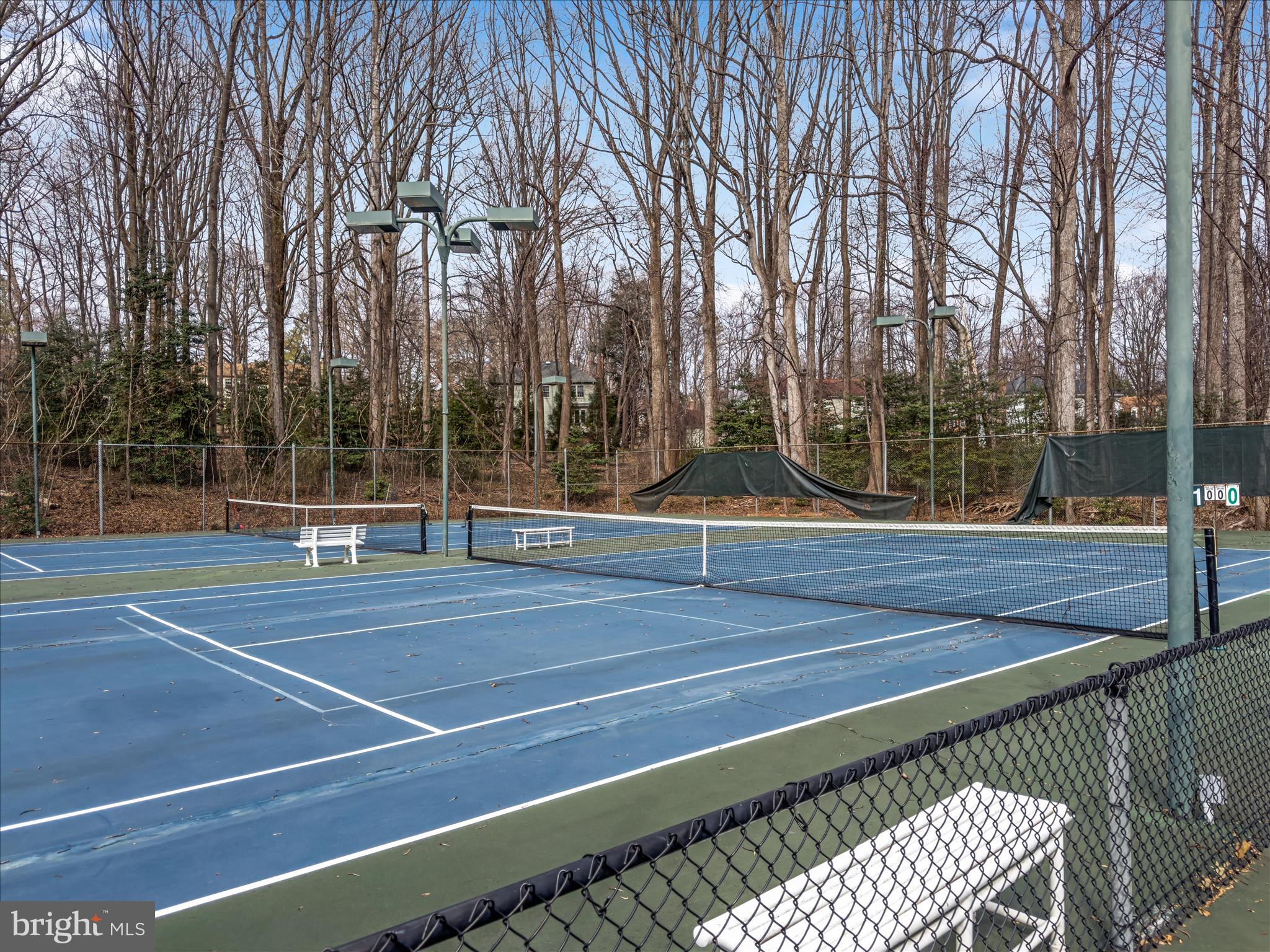 11922 Blue Spruce Road Reston, VA 20191 - Photo 58 of 65 Pickleball and Tennis Courts!